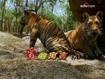 ����Ԣ�ԣ��ˣ�