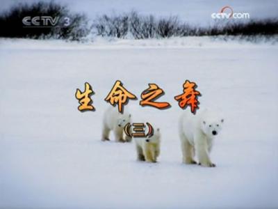 ����֮�裨����