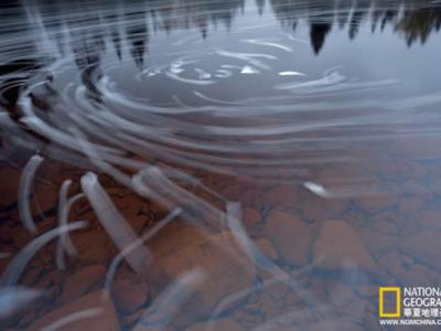 ���ռ�ʲ�ӣ������ݣ���³˹ͼ�ˡ�1970����ܱ����Ӷγ�148.9����