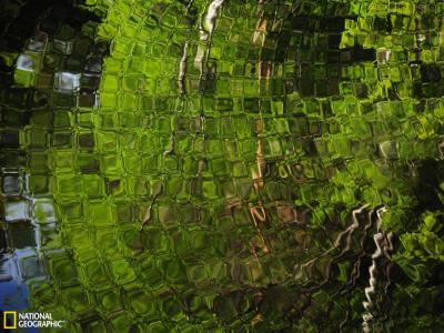 �����ĺ���