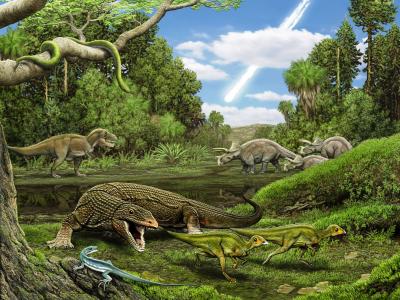 °桱Obamadon gracilisԭͼ