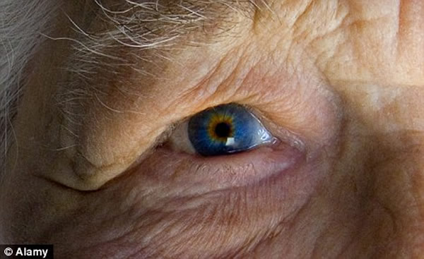 �����Իư߱��Ե���Ӣ���ķ�֮һ60��Ⱥ��Ͷ���֮һ70��Ⱥ�������½�