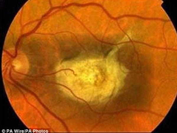 ʪ�������Իư߱��Խ��������������½�