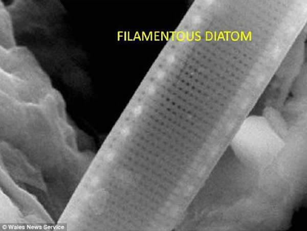 ֤ݡݳƬ﷢ֵĻʯ΢5500ǰĿʱĻʯƬ﷢ֵ΢