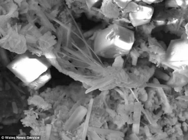 ԺԶԶĵطֱ2Ӣ(5.08)ʯƬھ˹¡³ֳǼӢһСׯֵ