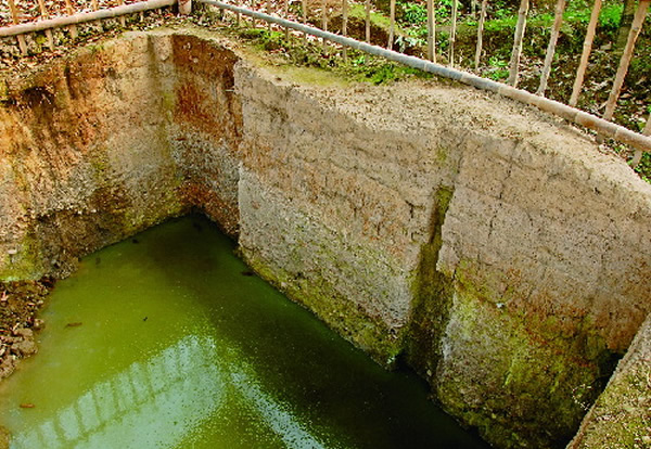 永康湖西遗址发现9000年前驯化水稻的有力物证:小穗梗