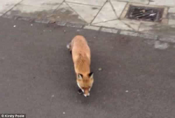 Ӣ��һŮ�ӽ�ͷץ�ĺ����ⷴ��