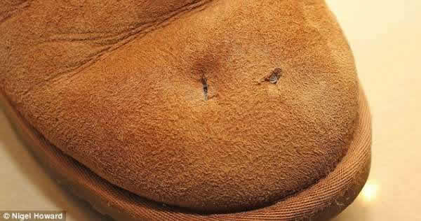 Ӣ��һŮ�ӽ�ͷץ�ĺ����ⷴ��