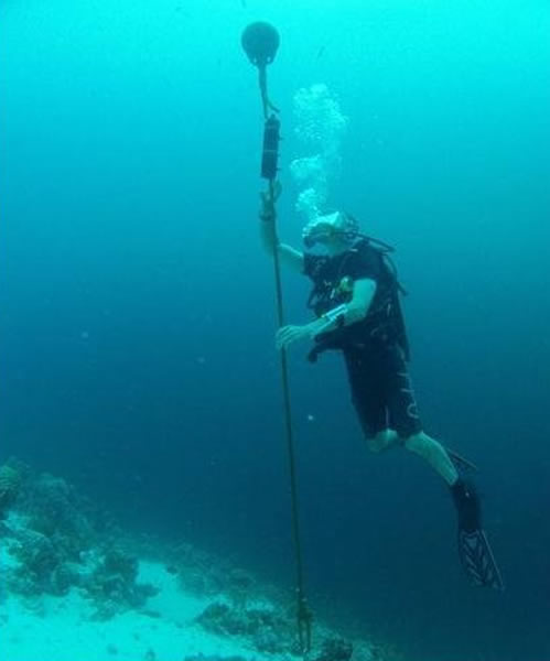 测量世界上最大的蝠鲼