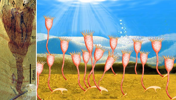 �ڸض�����ڵ�ʱ��׷�ݵ�����ʹ󱬷�ʱ��