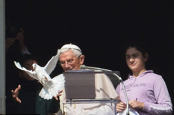 ���ӵõ����ɺ�������֮زز