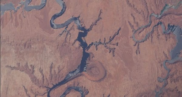 ����˹̹�о��İͶ�������Ҫ��ʾ���ϱ������������ʴ����֮ͬ��