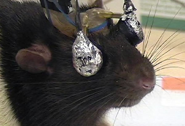 ��ѧ��ͨ�����������Ͻ������鷢�֣������и����Ӿ����������Ԥ�⽫Ҫ���������������