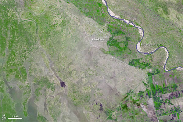 ڶƬ2005211գʾ״̬µֲӡ