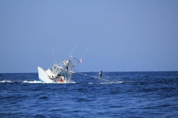 ��������������޴�ǹ���Ʒ��洬