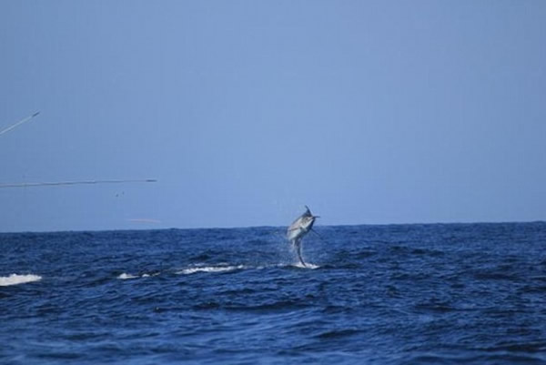 ��������������޴�ǹ���Ʒ��洬