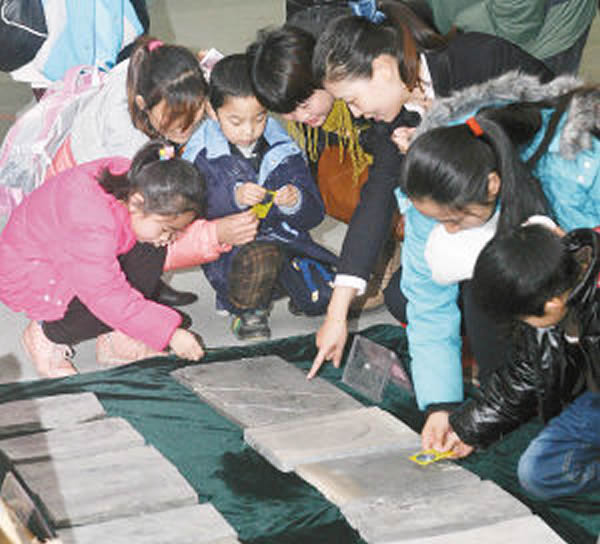 陕西自然博物馆获捐赠155件化石