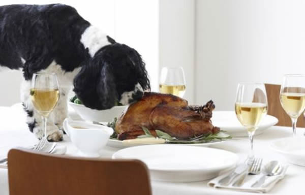 ʳʳƷΪӦǵĵʳǵŴѾӦ仯