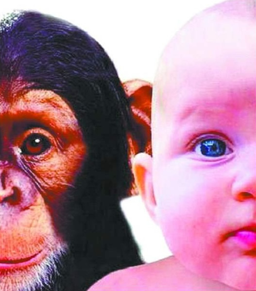 ���Թ���ƫ�໯�̶����˵�Գ�ٵ������εݼ�