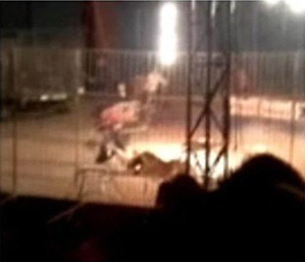 ī����һѱ��ʦ�ݳ�ʱ���ϻ�����ҧ��