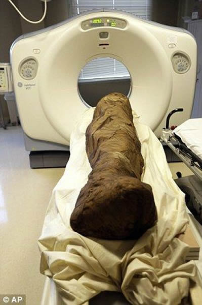 Tjeby被埋葬在上埃及地区一处名叫希克法拉格(Sheikh Farag)的遗址的石造墓穴中,1923年出土,目前人们对它几乎一无所知。