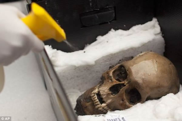 �о���Ա���ܷ���ī�����������Ѫ��ʷ������ģ�����׼��ص㡣���ͷ�����������ڷ��ֵ�����֮һ��