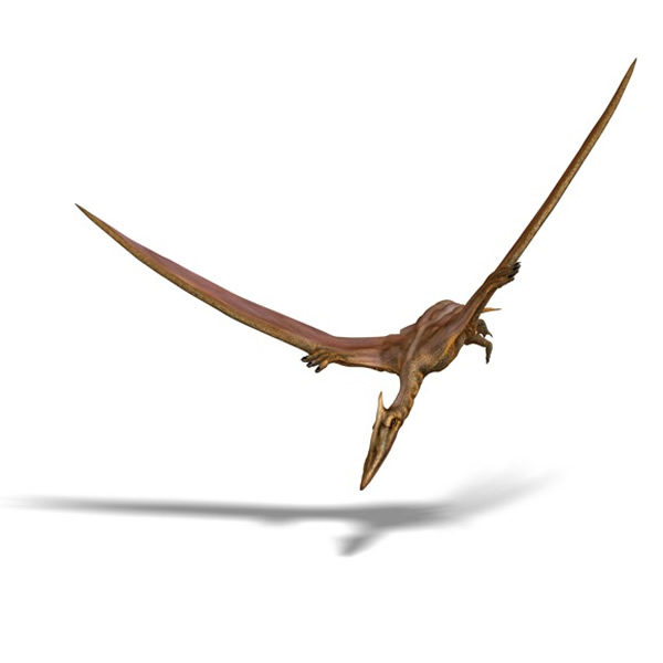 Eurazhdarcho langendorfensis复原图