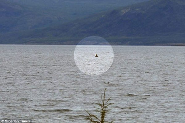 俄罗斯科学家称发现“西伯利亚尼斯水怪”
