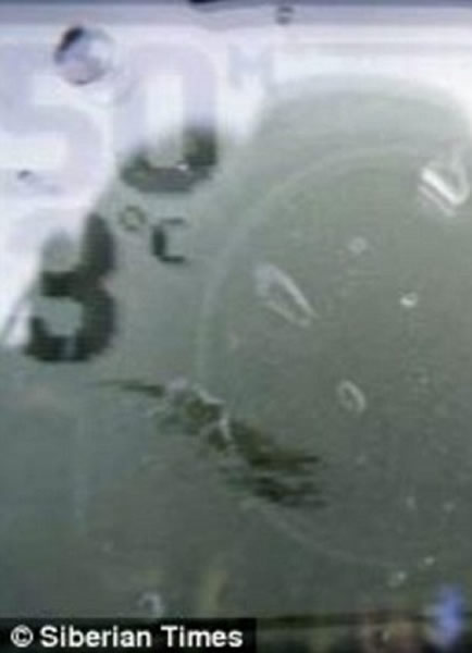 俄罗斯科学家称发现“西伯利亚尼斯水怪”