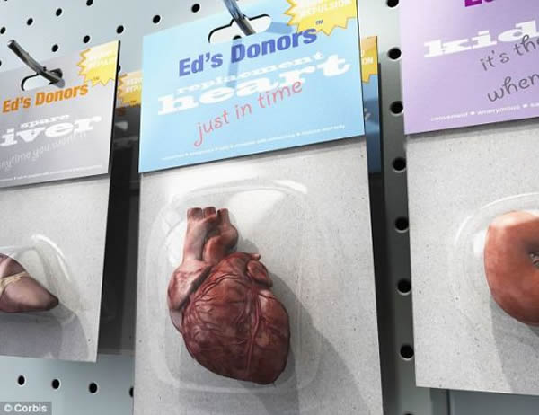 ��ѧ��ϣ����һ���������һ������Ҫ���κ���֯������