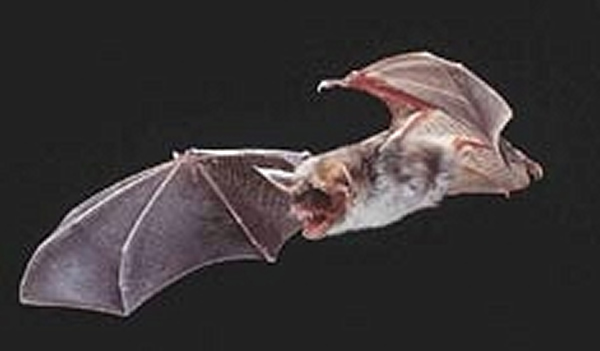 ������ܵ������ǵĻ�����λ���дӶ��뻷����������