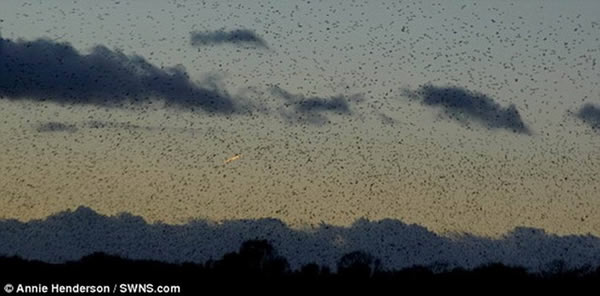 拍摄照片显示这个空中火焰物体以高速飞行,照片拍摄于2月6日