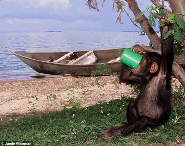 ѧоʾƻԴ1000ǰࡢɺͺɵĹͬ