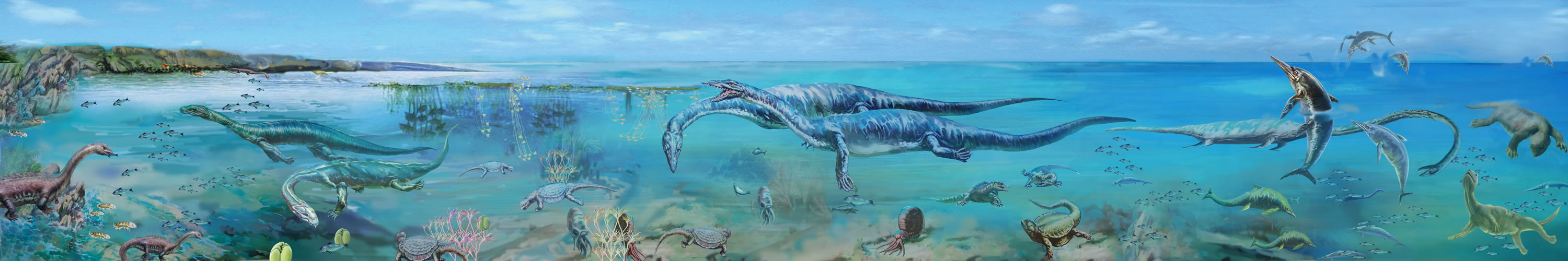 ���������������ж���Ⱥ