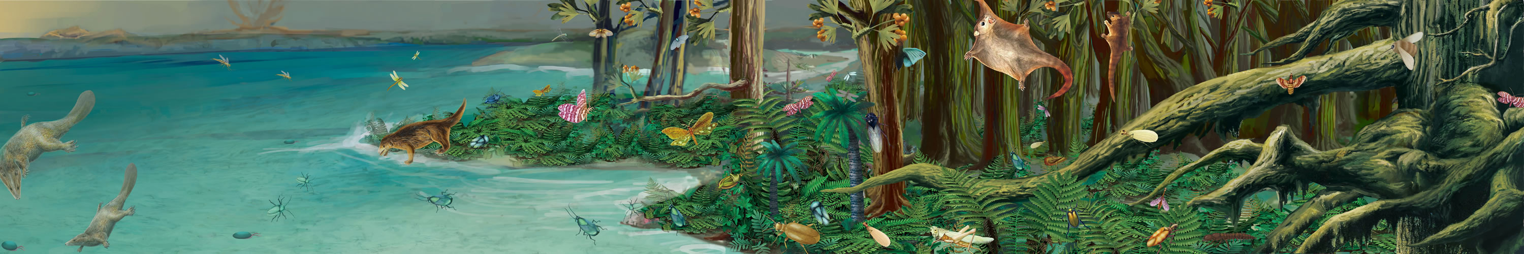 ��٪��������������Ⱥ