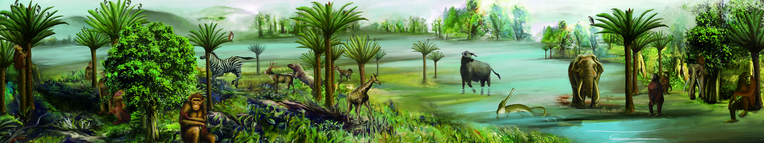 ˫����Գ�����