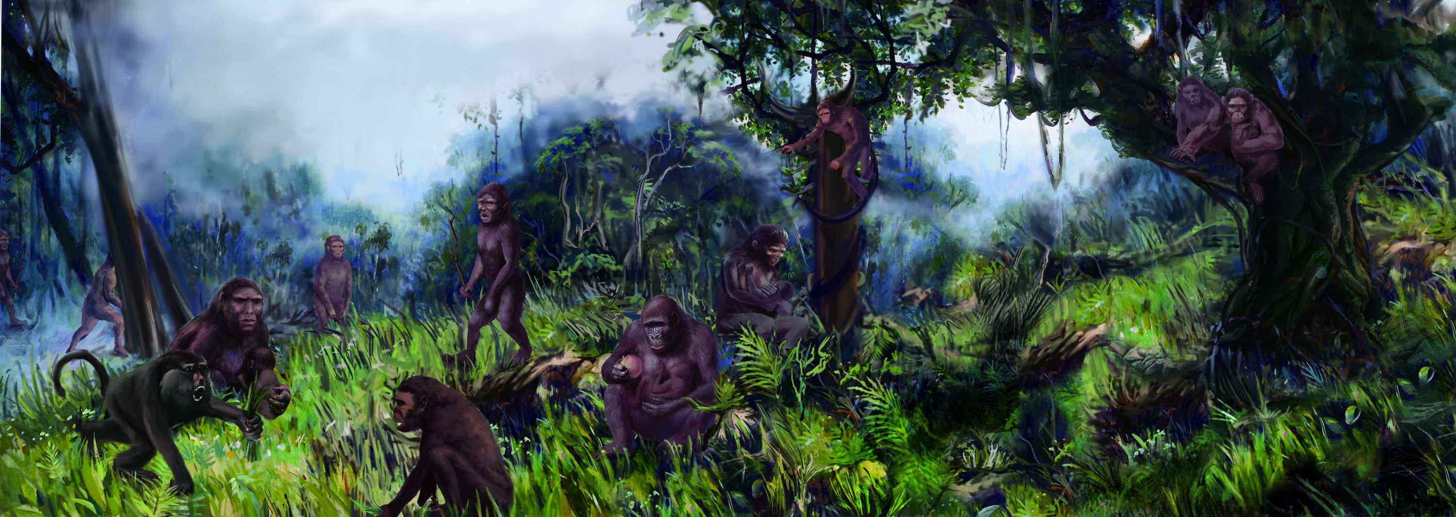 ����»���Գ�����