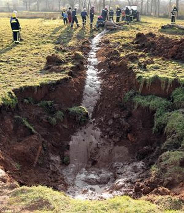 英国一只公马陷入泥潭终获救