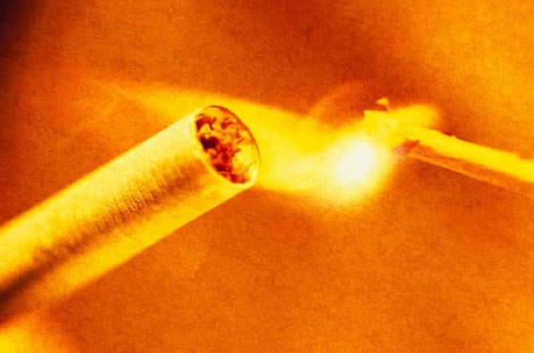 �о���Աָ�����̺�����ǵ���������ȼ����Ҫ����