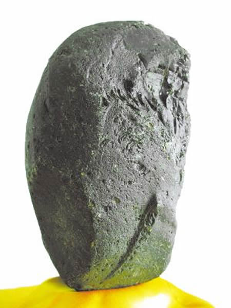 大型层状雷公墨