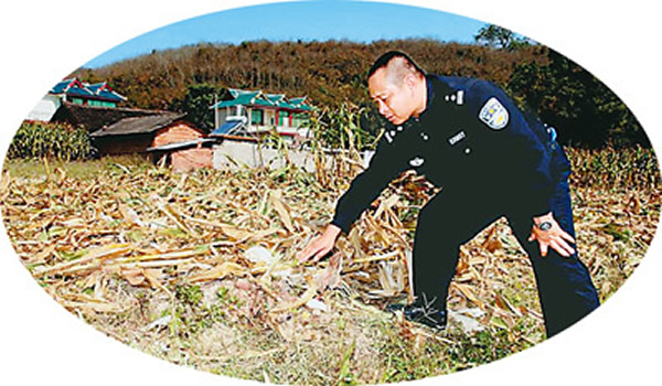 ��С��ĵط�Ѫ����δ��