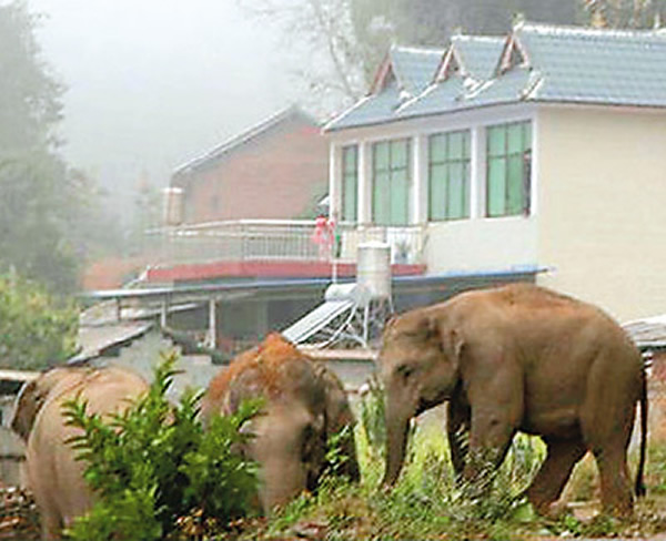 �����կ��Ұ��Ⱥ