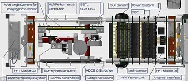 STRaND-1�Ĳ�ͬ���ͼ