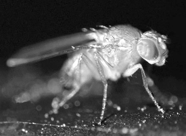 ���ʶ���������ίԱ�����Σ����ʹ����������������