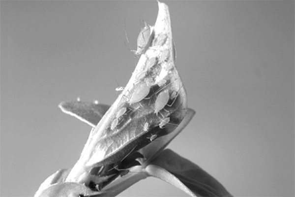 ����Ӹߴ�׹���ܹ��ȶ���½