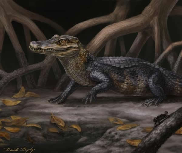 Culebrasuchus mesoamericanus, gen. et sp. nov.ĸԭͼ
