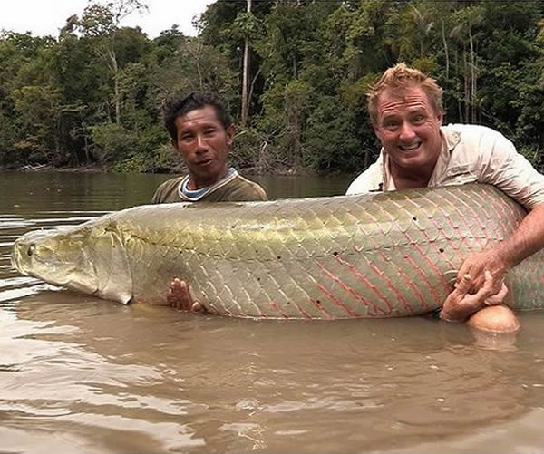 Ӣ�������������������޹����ǵ���һ���޴��Ұ���޻�����