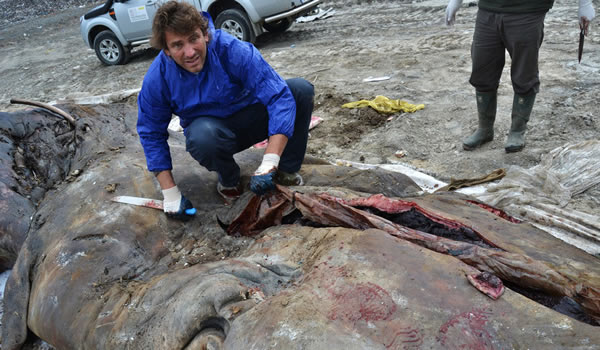 ��������̲Ĩ�㾨ʬ��θ����17���������