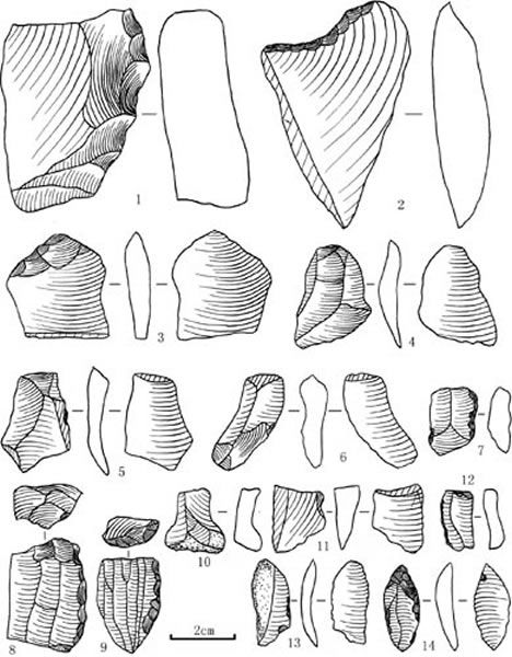太子陵旧石器地点发现的部分石制品。1、2、7 刮削器,3、10—12 断片,4—6、13完整石片,8 柱状细石叶石核,9 半锥形细石叶石核,14 尖状器。(王春