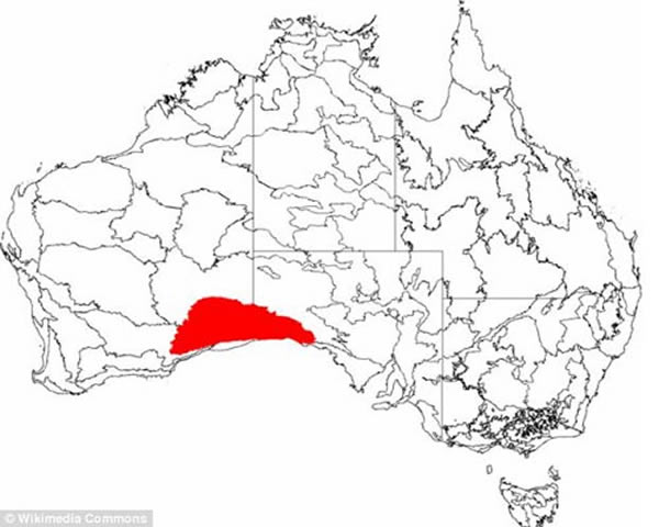 图中红色部分是纳拉伯平原,这里以地下洞穴系统而著称